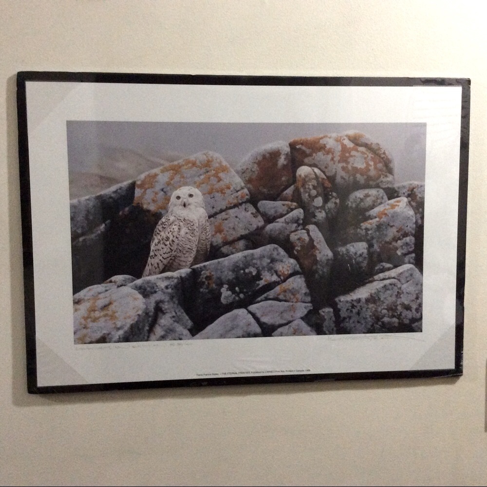 NEW unframed Pierre Francis Surtes Large Snowy Owl Print